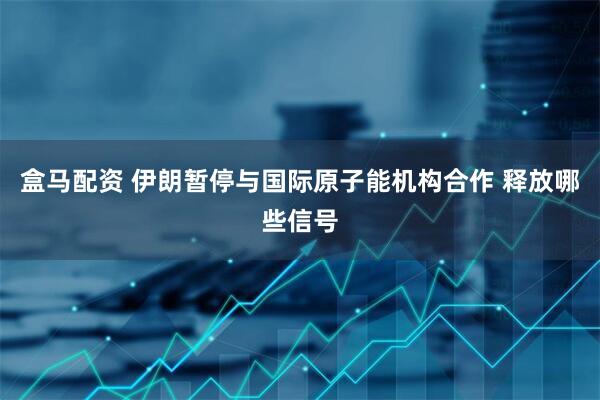 盒马配资 伊朗暂停与国际原子能机构合作 释放哪些信号