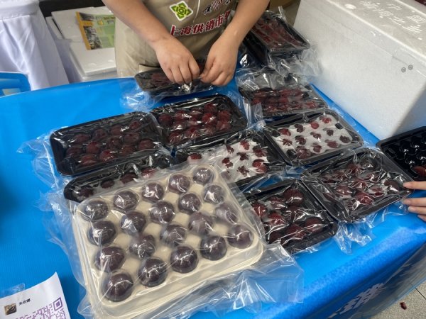 嘉正网  临海特色小吃组团来沪，供销夜集烟火气浓郁