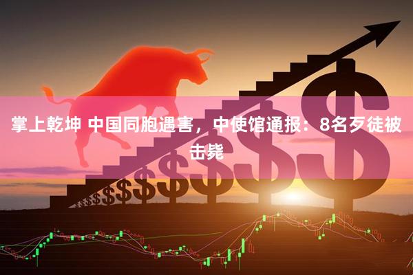 掌上乾坤 中国同胞遇害，中使馆通报：8名歹徒被击毙