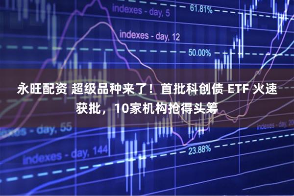 永旺配资 超级品种来了！首批科创债 ETF 火速获批，10家机构抢得头筹