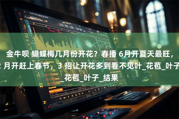 金牛呗 蝴蝶梅几月份开花？春播 6月开夏天最旺，秋播 2 月开赶上春节，3 招让开花多到看不见叶_花苞_叶子_结果