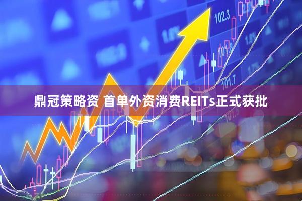 鼎冠策略资 首单外资消费REITs正式获批