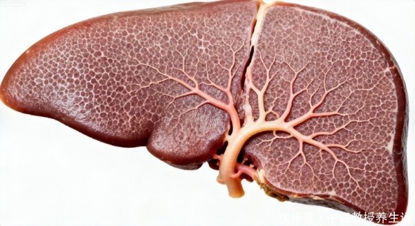博兴优配 坚持早睡早起1个月，你的肝脏会变“勤快”，身体也会有3个变化