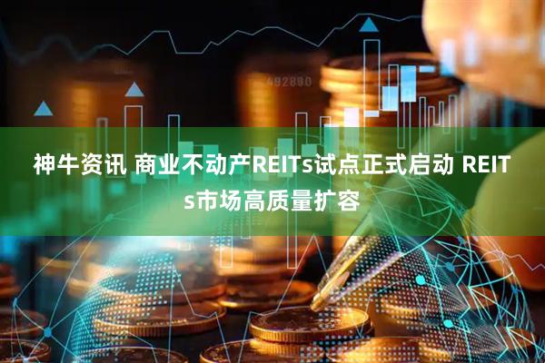 神牛资讯 商业不动产REITs试点正式启动 REITs市场高质量扩容